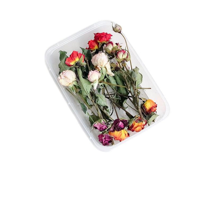 1 x Box Mixed 3D Dried Assorted Colour Rose Bud Heads with Stems