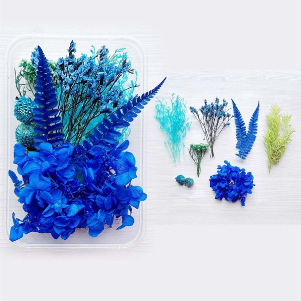 1 x Box Mixed 3D Dried Blue Flowers Ferns and Accents