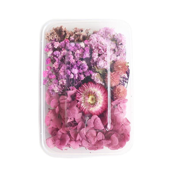 1 x Box Mixed 3D Dried Dusty Pink Flowers with Purple Accents