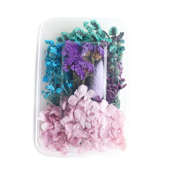 1 x Box Mixed 3D Dried Flowers Pink Hydrangea with Purple Pussy Willow