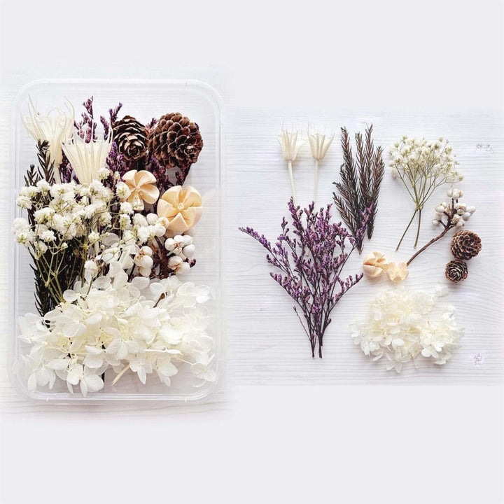 1 x Box Mixed 3D Dried Flowers White Hydrangea with Pine Cones