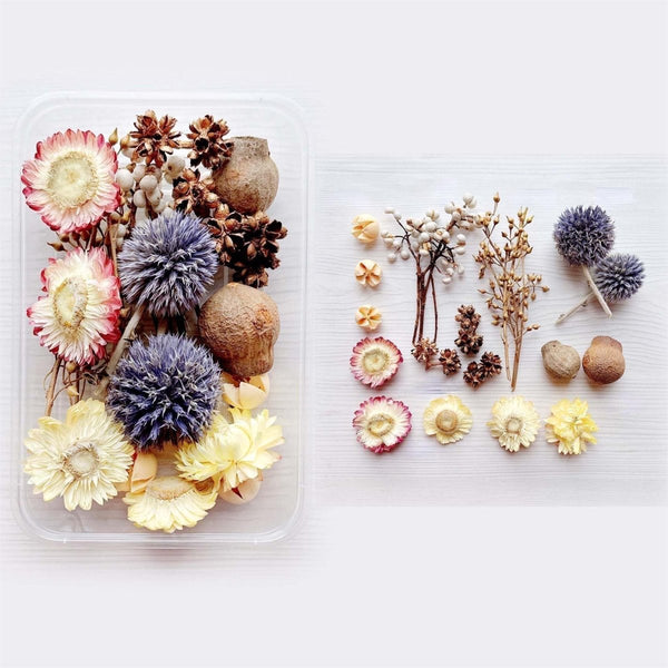 1 x Box Mixed 3D Dried Neutral Flower Heads & Gum Nuts