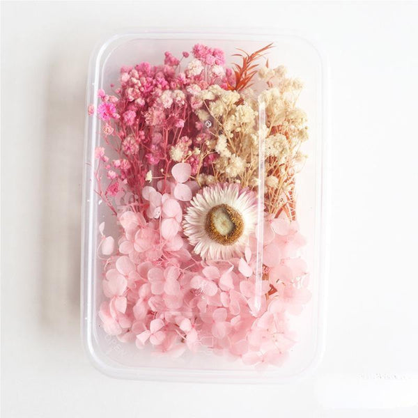 1 x Box Mixed 3D Dried Pink Flowers with Pink & Neutral Accents