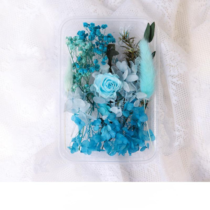 1 x Box Mixed 3D Dried Sky Blue Rose Bunny Tail Flowers