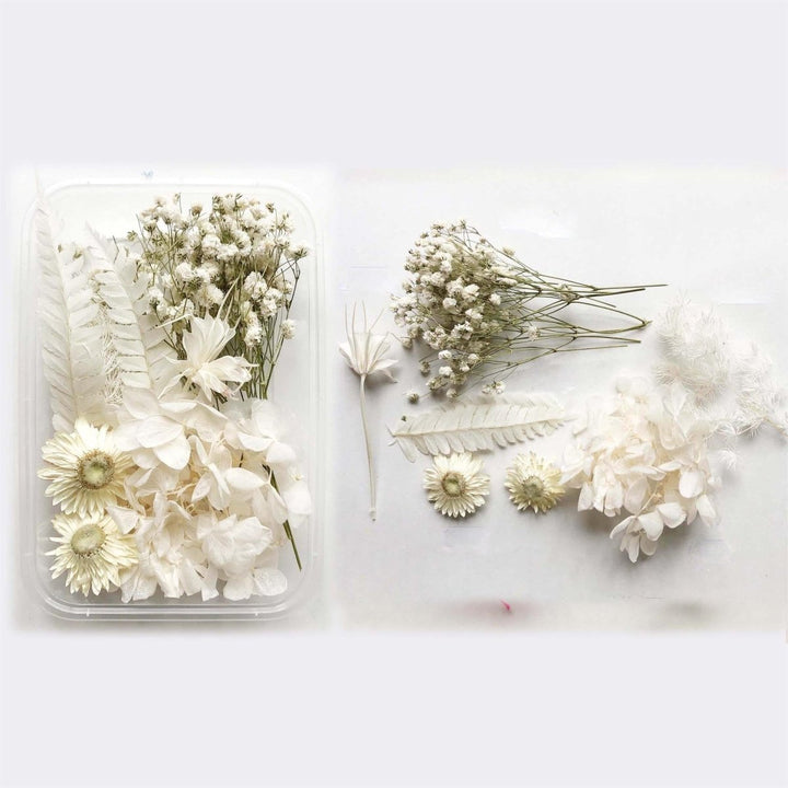 1 x Box Mixed 3D Dried White Flowers & Fern with White & Neutral Accents