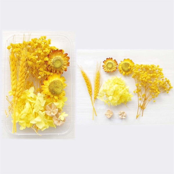 1 x Box Mixed 3D Dried Yellow Flowers With Wheat Head Accents