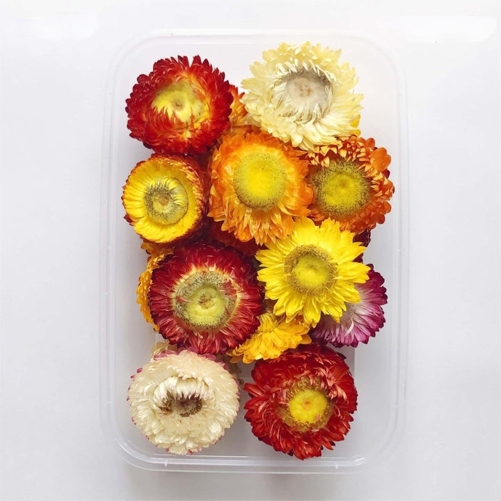 1 x Box Mixed 3D Yellow Purple Flower Heads